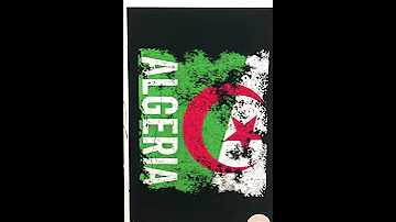 3747: Algeria: Algeria Flag Distressed - Composition Notebook Paperback by Flag Nation (Author)