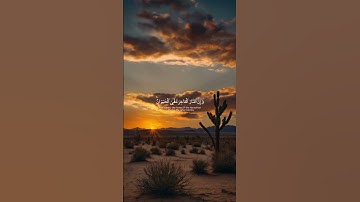 ما تيسر من سورة العنكبوت يااسر الدوسري..🍂 #قرآن #القرآن_الكريم #راحة_نفسية #قران_كريم #ياسر_الدوسري