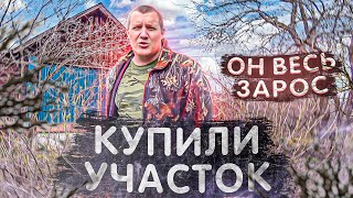 Купили участок и не пилят деревья, в саду не убираются