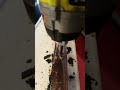 Easy wood dowel plug removal Easy wood dowel plug removal