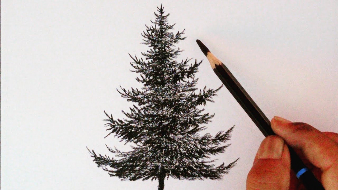 Christmas Tree Drawing and Coloring | Christmas Tree Drawing and Coloring  Step by Step | By RN Easy DrawingFacebook