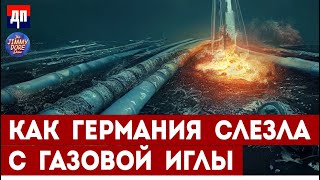 Путин рассказал Такеру, как Германия слезла с газовой иглы | Джимми Дор