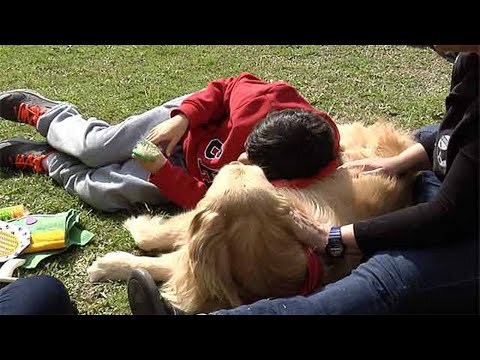 Concientización sobre trastornos del espectro autista