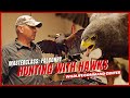 Becoming a falconer  wildlife command center  ep 1