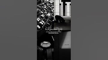 تلاوة الإمام شاكر ناطور -ليلة رمضان 1445📍مسجد الرحمة -قلنسوة