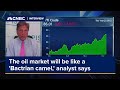 The oil market will be like a &#39;Bactrian camel,&#39; analyst says