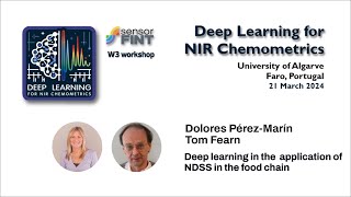 Deep learning in the application of NDSS in the food chain screenshot 1