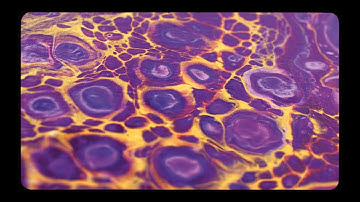 Henning Fuchs - PACHA MAMA (Official Music Video) – GAIA