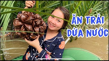 Ăn trái dừa nước trên sông miền tây | Đặc sản miền tây nam bộ | Thanh Trần TV
