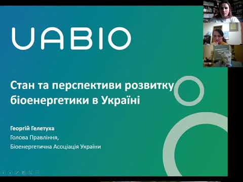 Георгій Гелетуха: Біомаса — оптимальна альтернатива природному газу