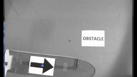 Cybership - Path Following