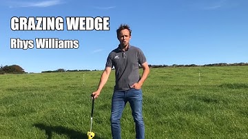 Guide to Grazing Management - Grazing Wedge