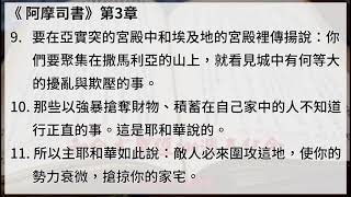 #30 【阿摩司書】【有聲聖經字幕版】中文和合本聖經100週年紀念