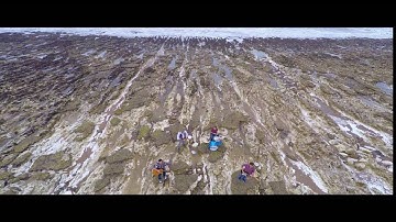 Datum Plane  - Lighthouse