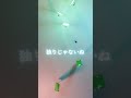 brand new/Mrs. GREEN APPLE