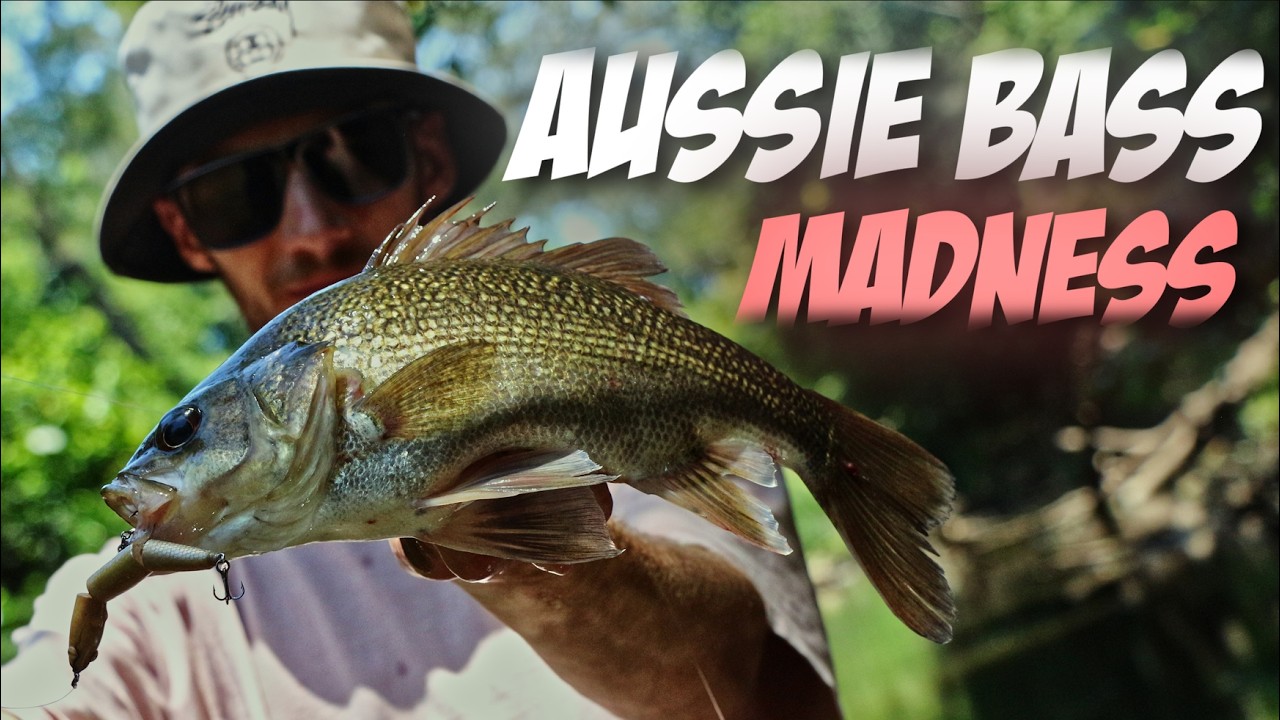Aussie Bass Madness (Tiny Creek Fishing Adventure!)