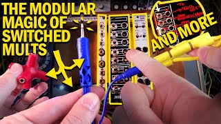 THE MODULAR SYNTH MAGIC OF MULTIPLES