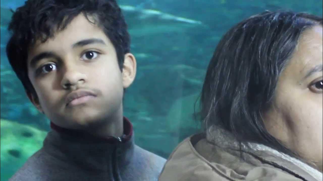Tour of Ripley's Aquarium YouTube