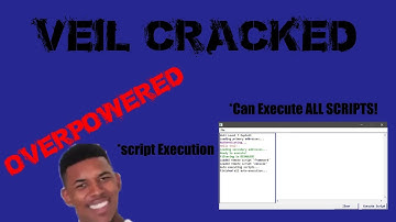 [LEAKED] Veil Cracked! NEW EXPLOIT CRACK FROM PSYCOCRAK! Fly/scripts Level 7