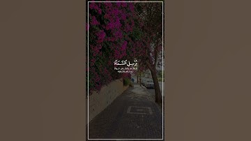 سعد الغامدي سورة هود اجمل حالات واتس اب دينية Saad Al Ghamidi Surah Hud