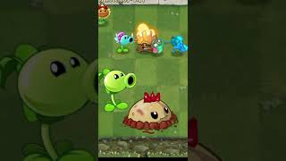 Plantas Primitivas 0