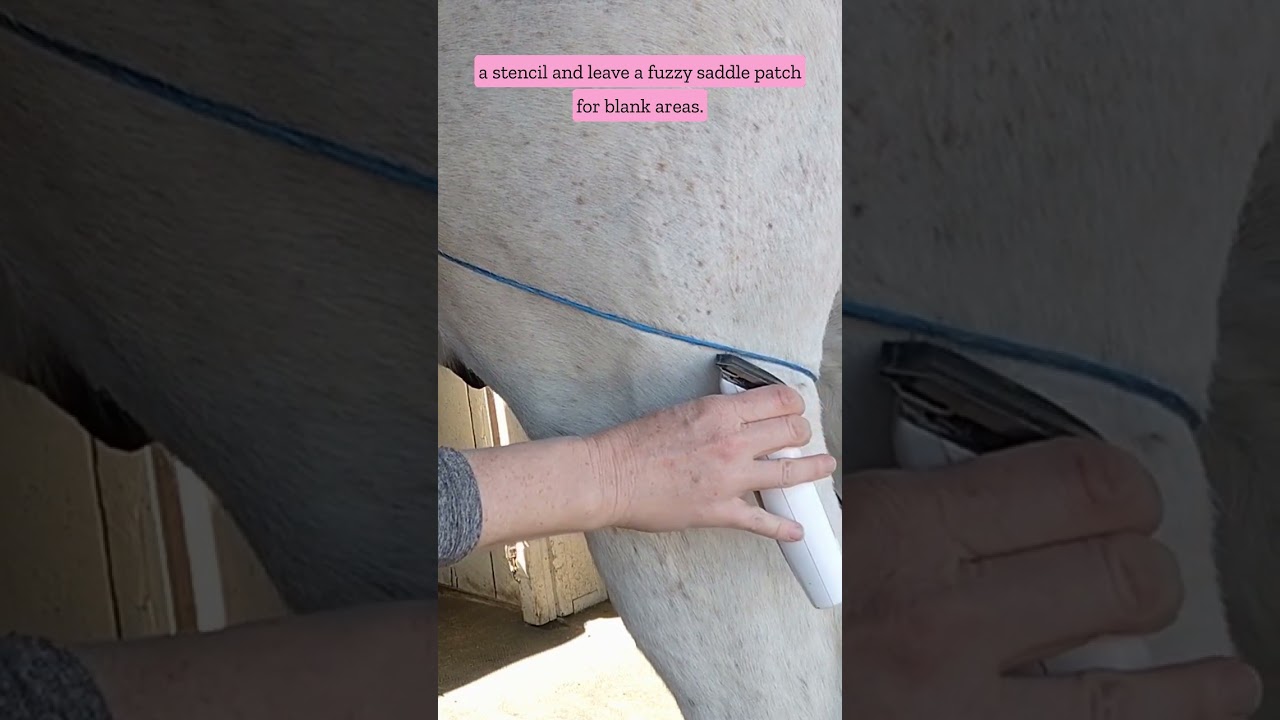 How to Make Crisp Clipper Lines on Your Trace Clip