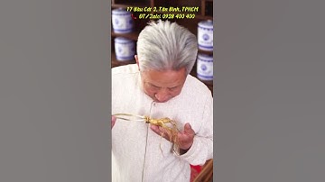 Bình ngâm sâm ngọc linh 17 Bàu Cát 2, Tân Bình, TPHCM #binhngamruou #shorts