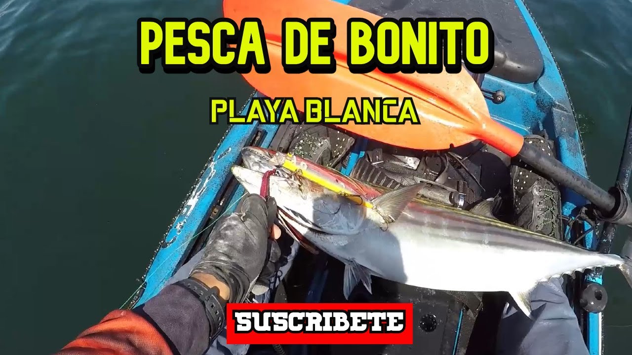 PESCA DE MONO O BONITO PLAYA BLANCA IQUIQUE PESCA EN KAYAK YouTube