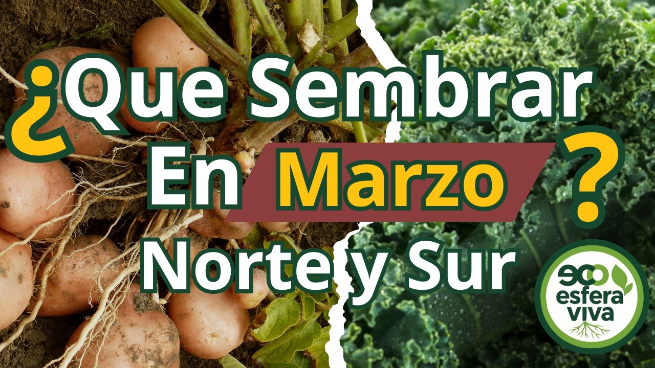 ¿Qué sembrar en Marzo? 🌍 Calendario de siembra Norte y Sur + Aromáticas + Semilleros + Flores