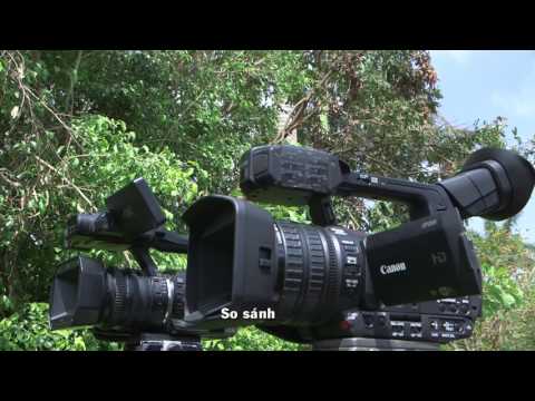 Video Trai nghiem may quay CANON XF 205 - youtube