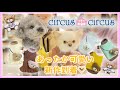 サーカスサーカスの犬服紹介！！2020秋冬新作第二弾です！