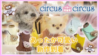 サーカスサーカスの犬服紹介！！2020秋冬新作第二弾です！