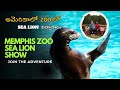 USA Zoo లో Sea Lion విన్యాసాలు | Amazing Sea Lion Show | Family Fun at the Zoo | Kumar Telugu Vlogs