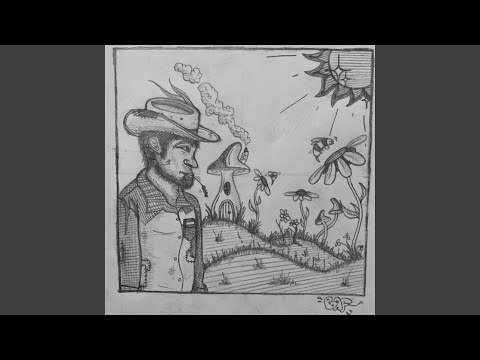 Noah Daniel - Settle Down