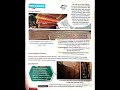 Places of Eminence , Explanation in Hindi , Full Chapter ,Grade 7 , Footprints, 