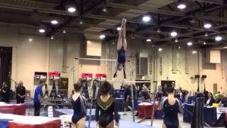 Galaxy 2015 (Bars)-Rose Hoffman