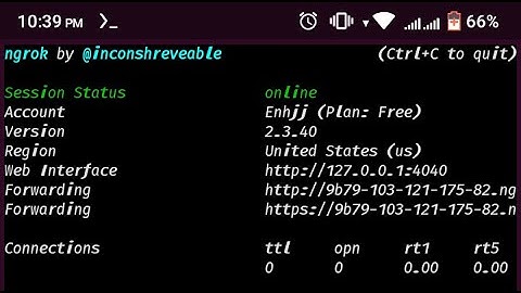Ngrok without Hotspot Termux || Guti Baba