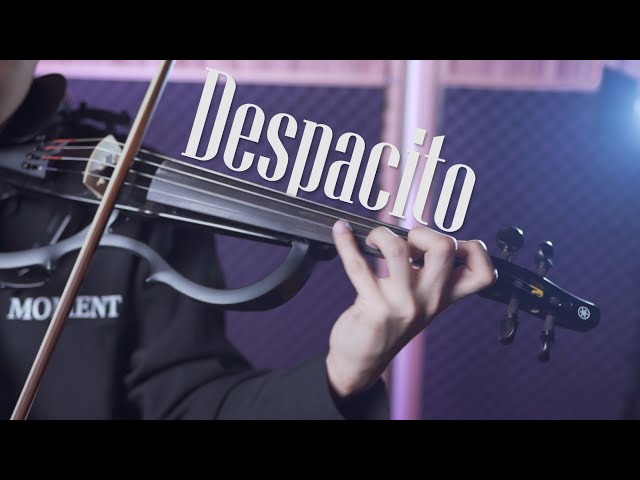 Luis Fonsi, Daddy Yankee《Despacito》小提琴版本 | Violin【Cover by AnViolin】 class=