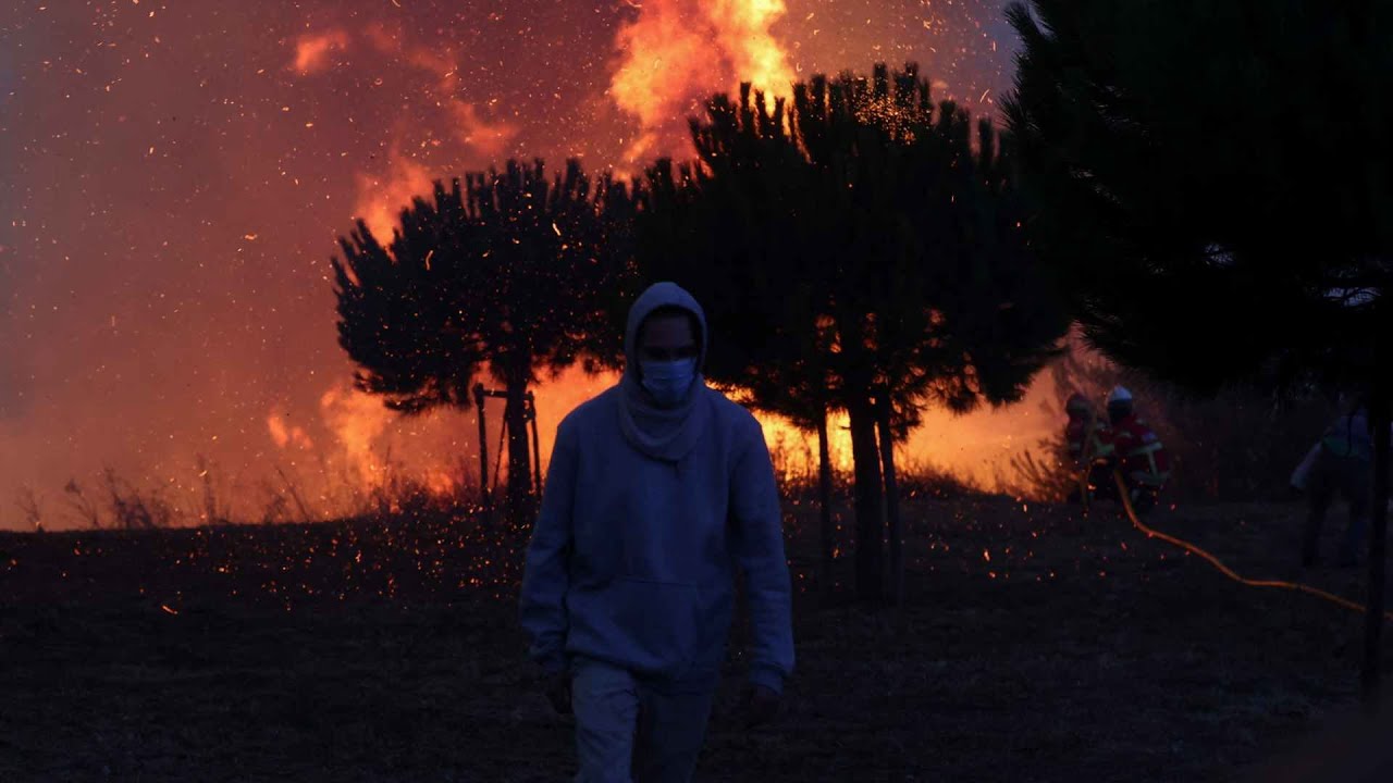 Incêndio em Cascais dominado. As imagens do combate às chamas