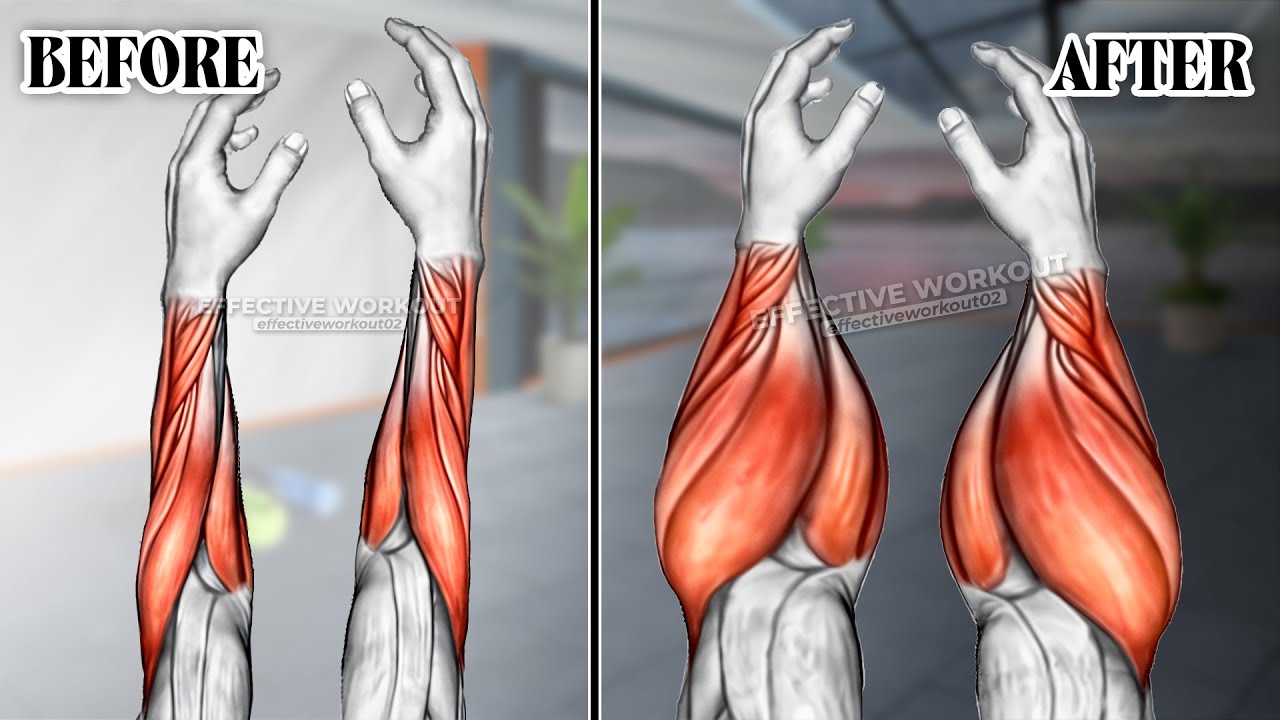 9 BEST Exercises for Bigger Forearms Workout - YouTube