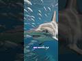 🦈 Why Does This Shark Have a Hammer Head? #shorts #HammerheadShark #Shark #deepseaOceanLife
