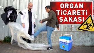 ORGAN TİCARETİ ŞAKASI ! (%100 DOKTOR)