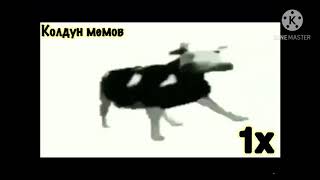 Корова танцует мем ( 1x-x999999999 скорость )