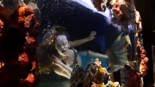 Luxury Event Planning - Forever Events