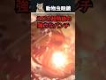重力の1万倍に達する強力なパンチ