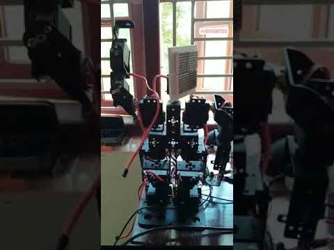 Vibo Servo Calibration