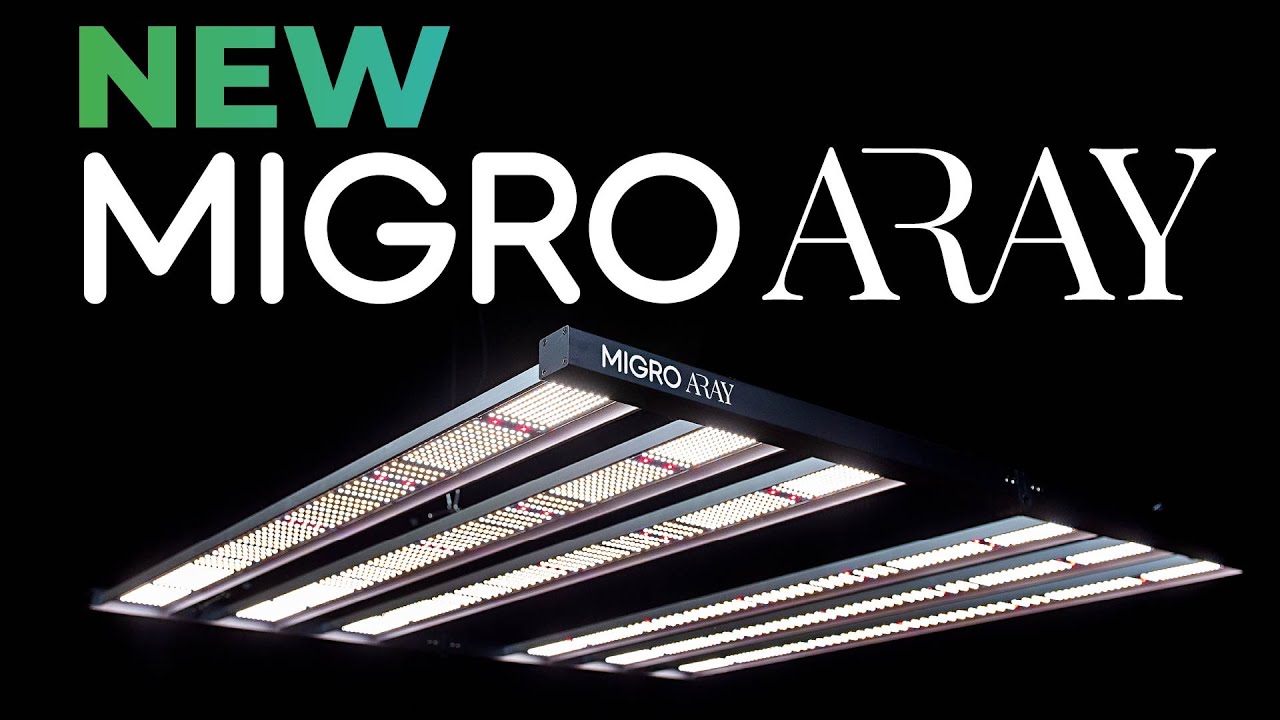 Buy MIGRO ARAY 4x4 — LED Grow Lights Depot