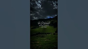 تلاوه من سورة التوبه|بصوت الشيخ ياسر الدوسري🎧♥️#trending #quran #قران_كريم #راحة_نفسية #قرآن