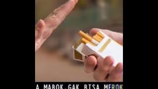 Video story WA | gak bisa mabok, gak bisa merokok cowok macam apa aku ini | KEREN