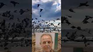 Yaziyorum Şiir:erdinç Küçükkaya Yorum&Ses Kayıt&:Aynur Kurt